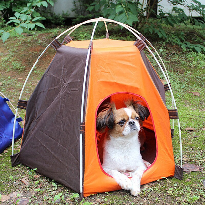 🏠 Pet Furniture & Accessories