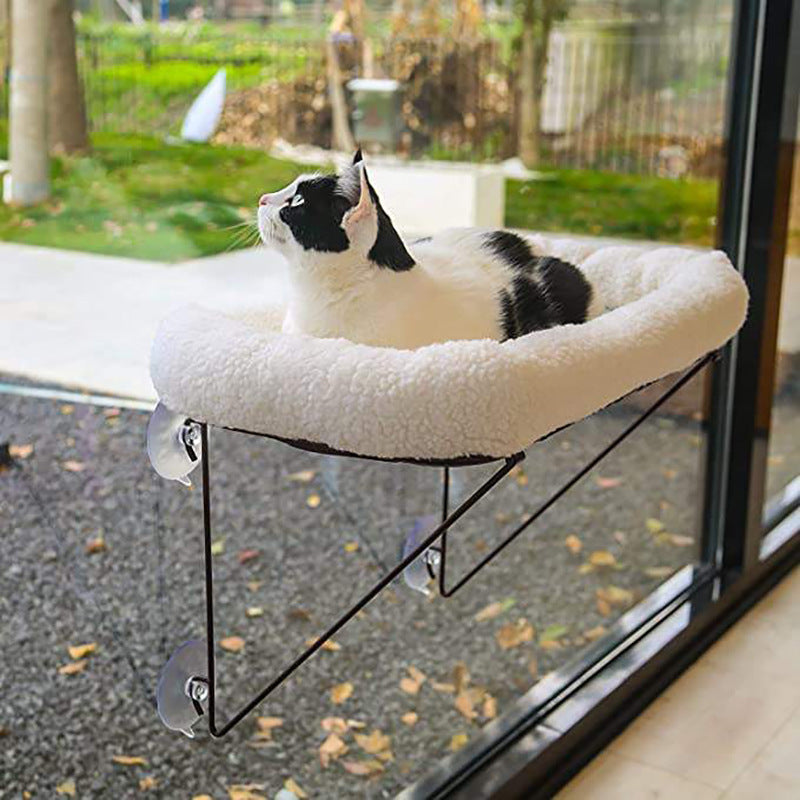 🐾 Cat Essentials