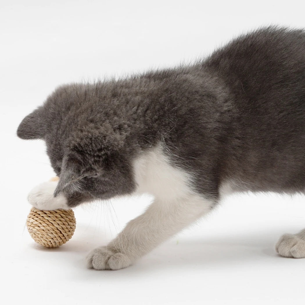 Interactive Cat Bell Toys – Bounce, Chase & Pounce