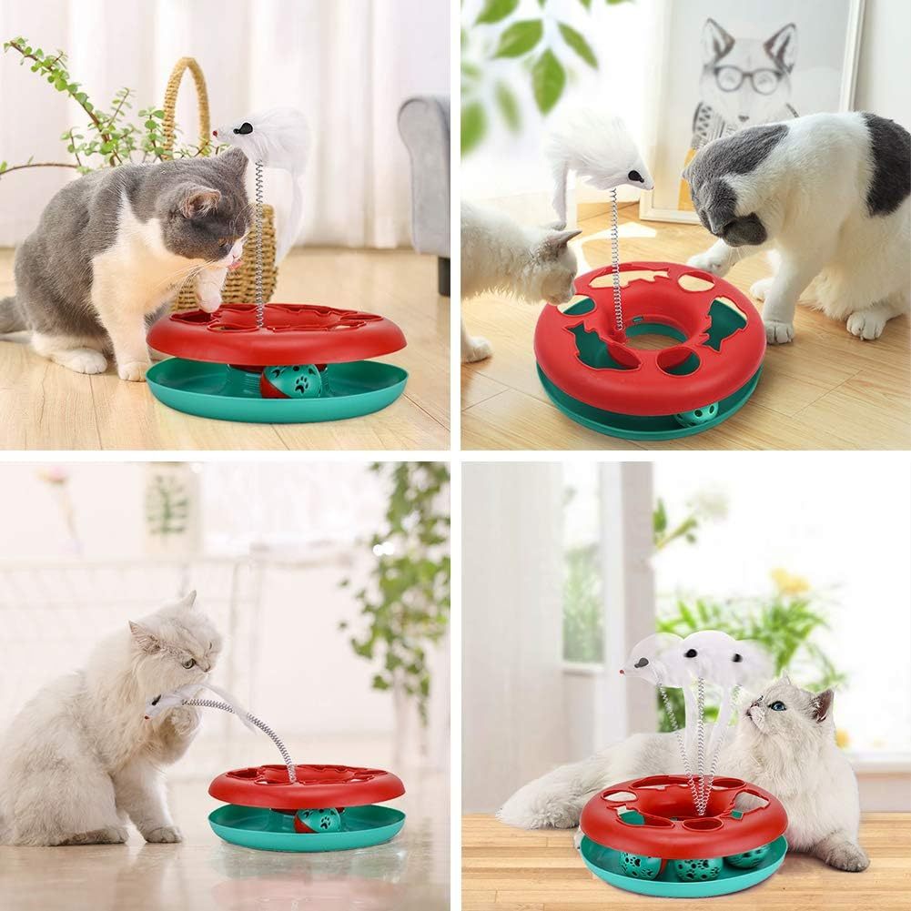 Roller Track Cat Toys – Play, Chase & Exercise Indoors