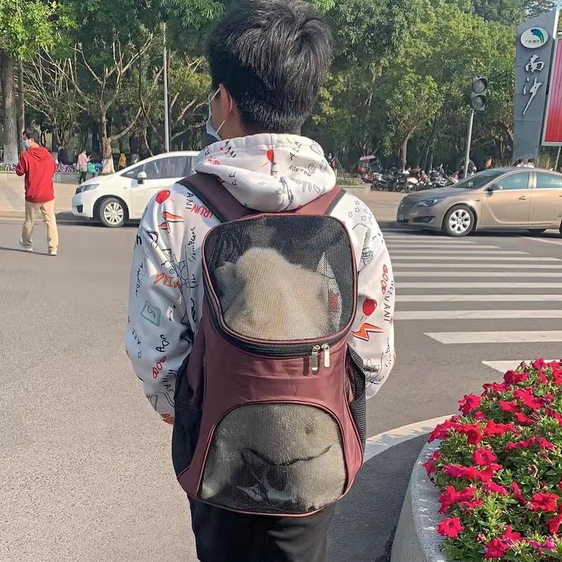 Portable Pet Backpack – Safe Travel for Small Dogs