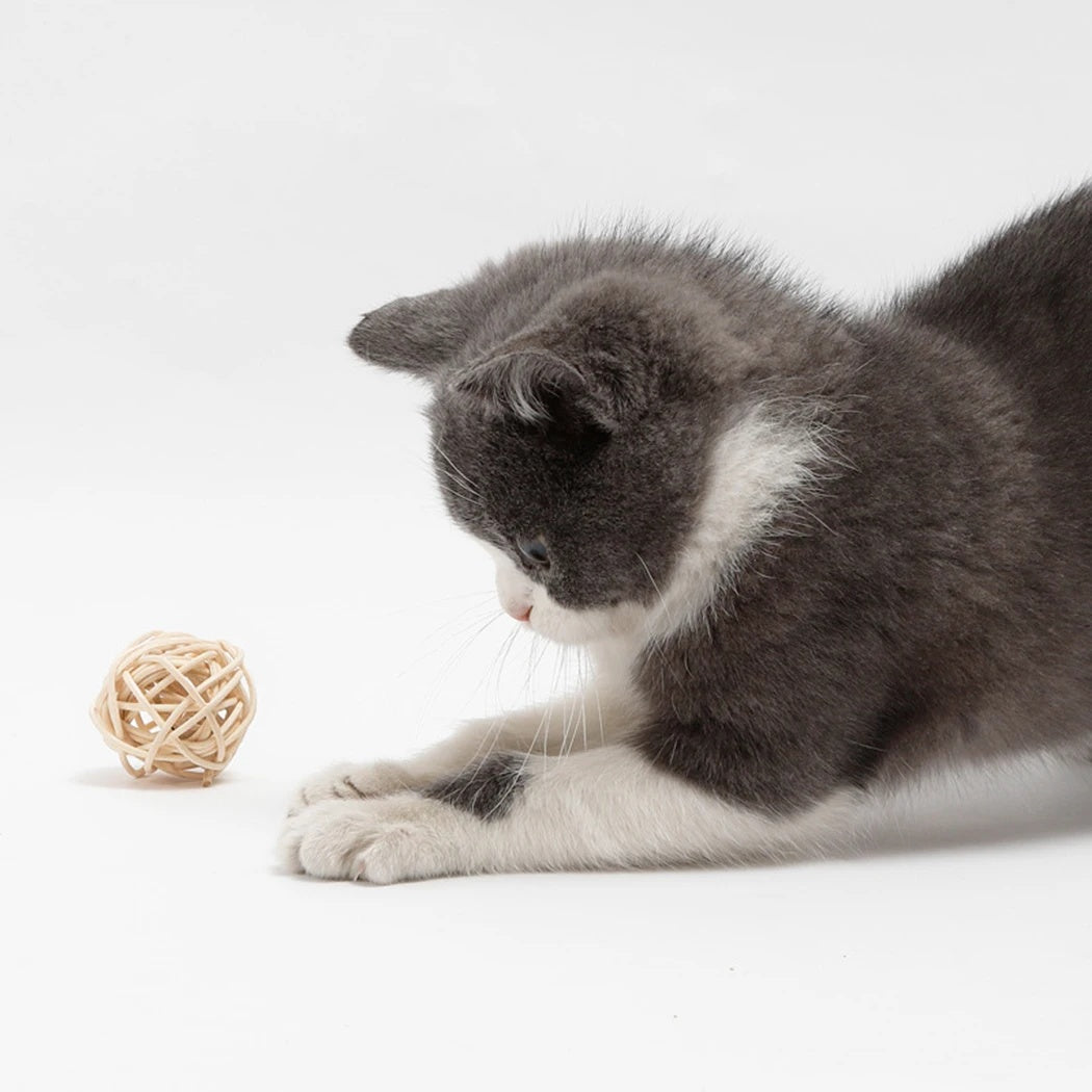 Interactive Cat Bell Toys – Bounce, Chase & Pounce