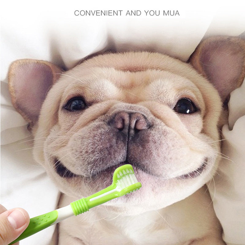 Silicone Dog Toothbrush – Gentle Cleaning for Healthy Smiles