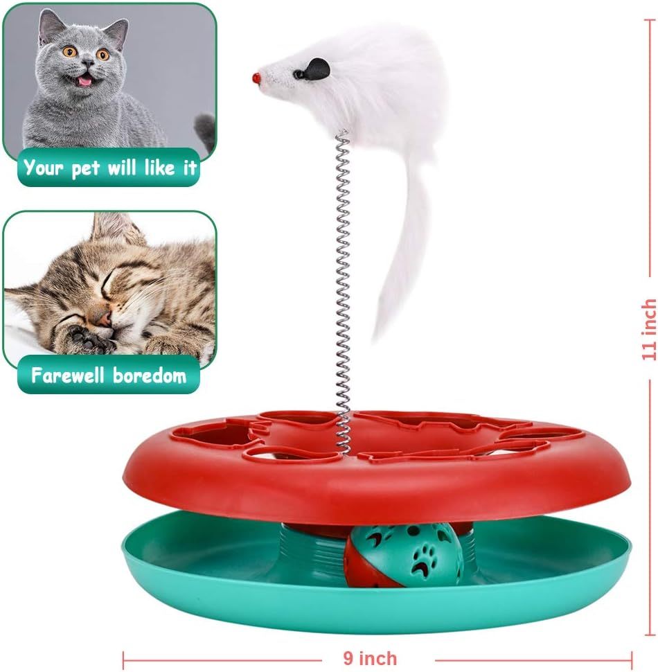 Roller Track Cat Toys – Play, Chase & Exercise Indoors