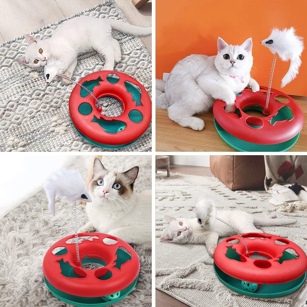 Roller Track Cat Toys – Play, Chase & Exercise Indoors