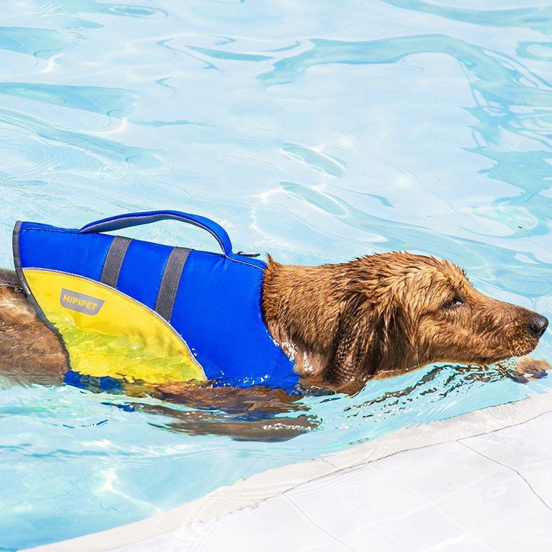 Dog Swimming Life Jacket – Safe Adventures for Every Size
