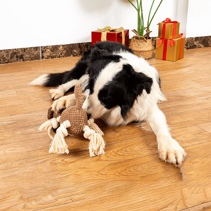 Durable Dog Molar Toy – Keep Pets Active & Happy